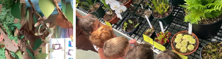 Kindergarten Rain Forests