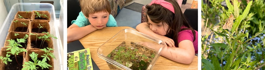 Learning about life cycles
